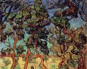 文森特威廉梵高 - 圣保罗医院花园中的树木